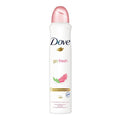 Dove A/P Deodorant Spray Go Fresh Pomegranate 250Ml
