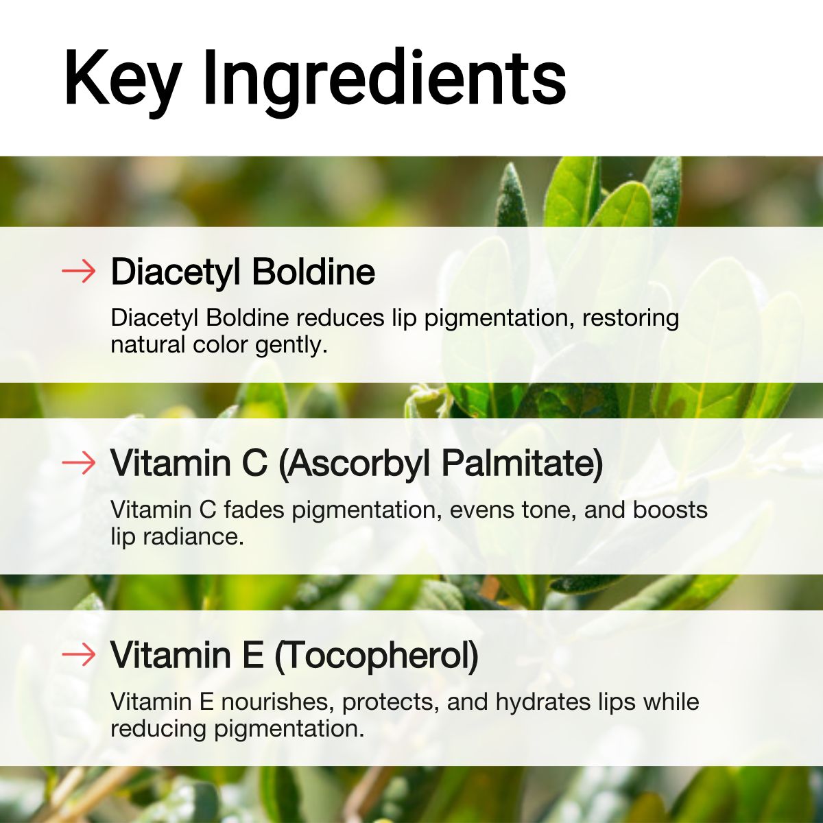 AccuFix - Dark Lips Treatment Balm