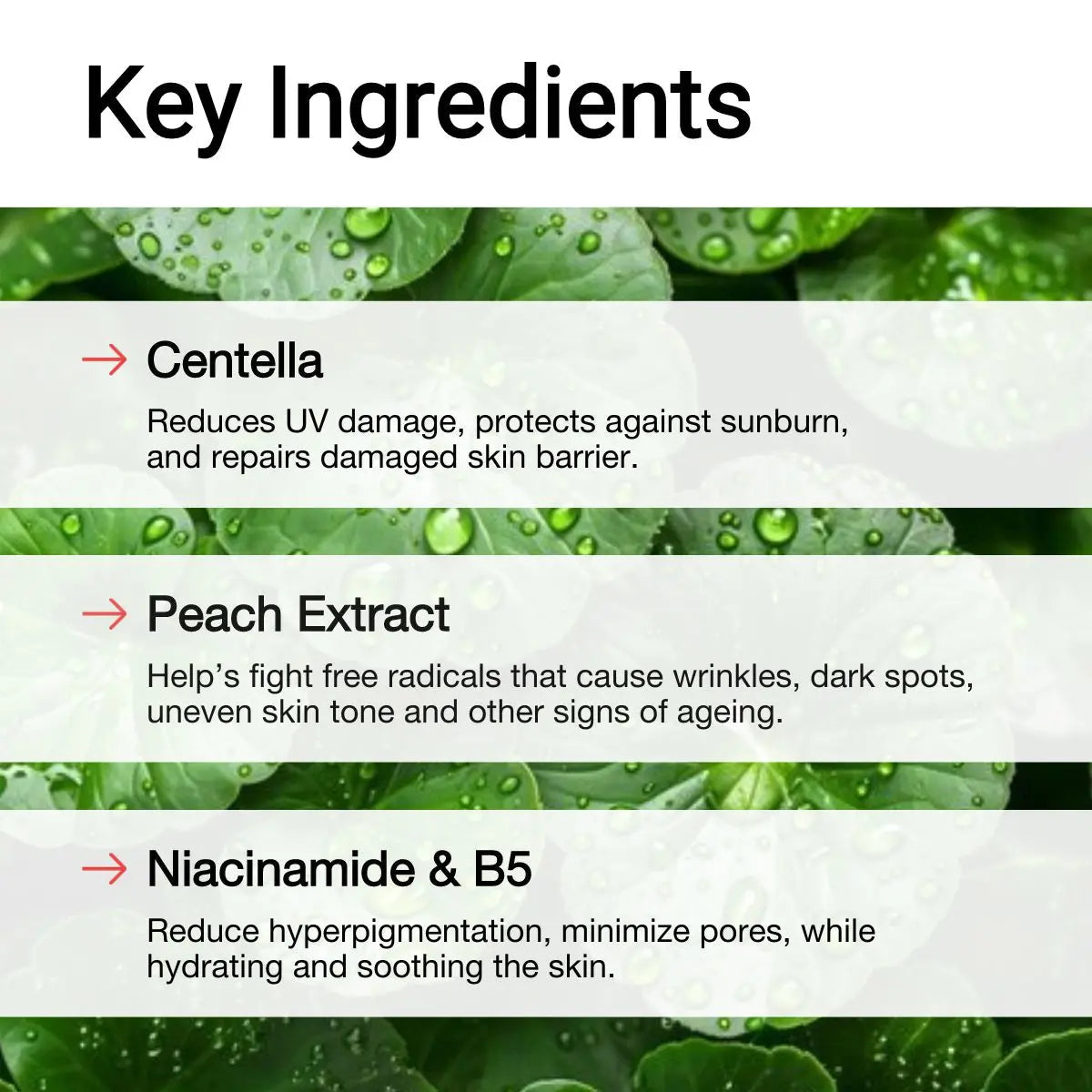 AccuFix - Invisible Shield With Centella SPF 50 PA++++
