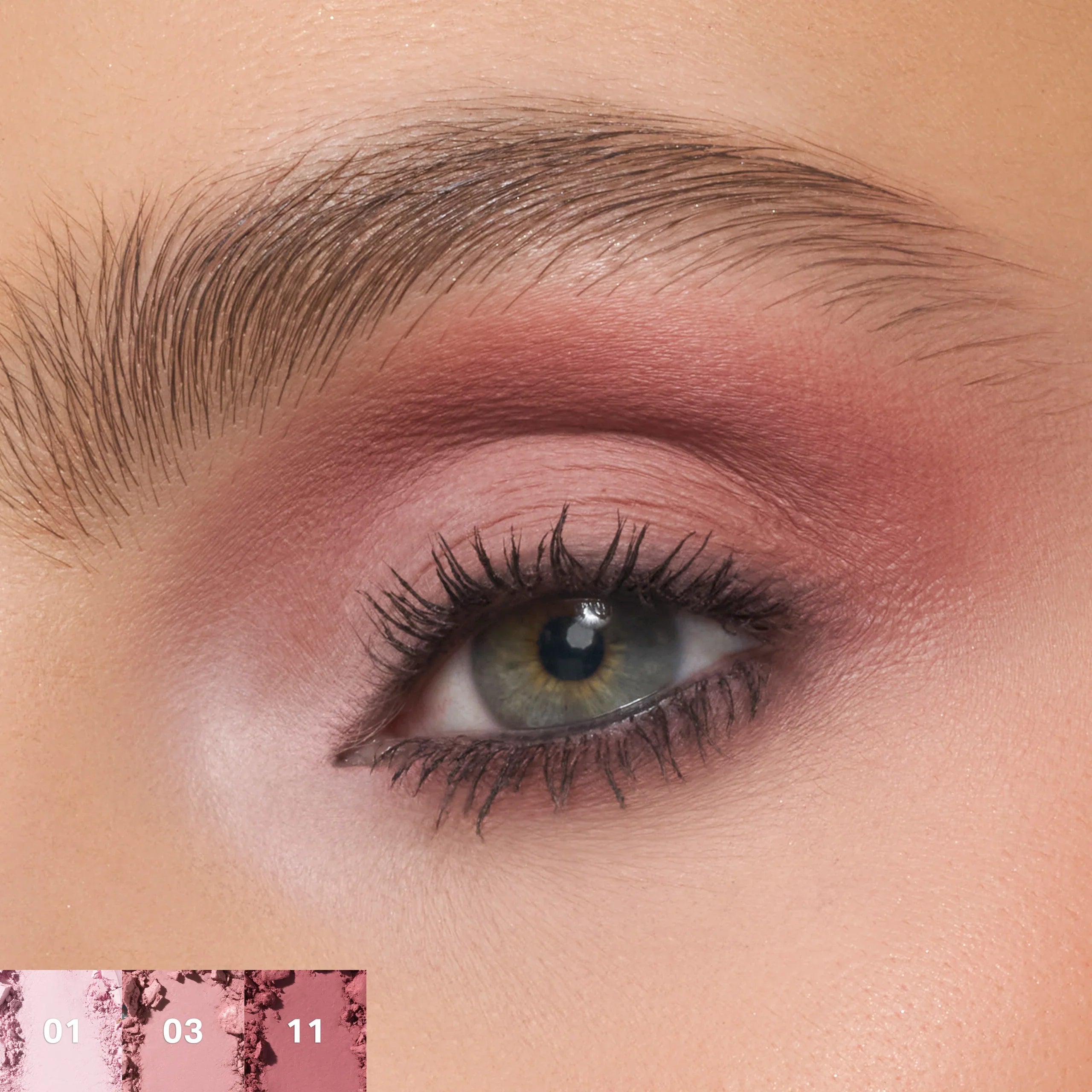 Morphe Eyeshadow Palette - Rose Frequency