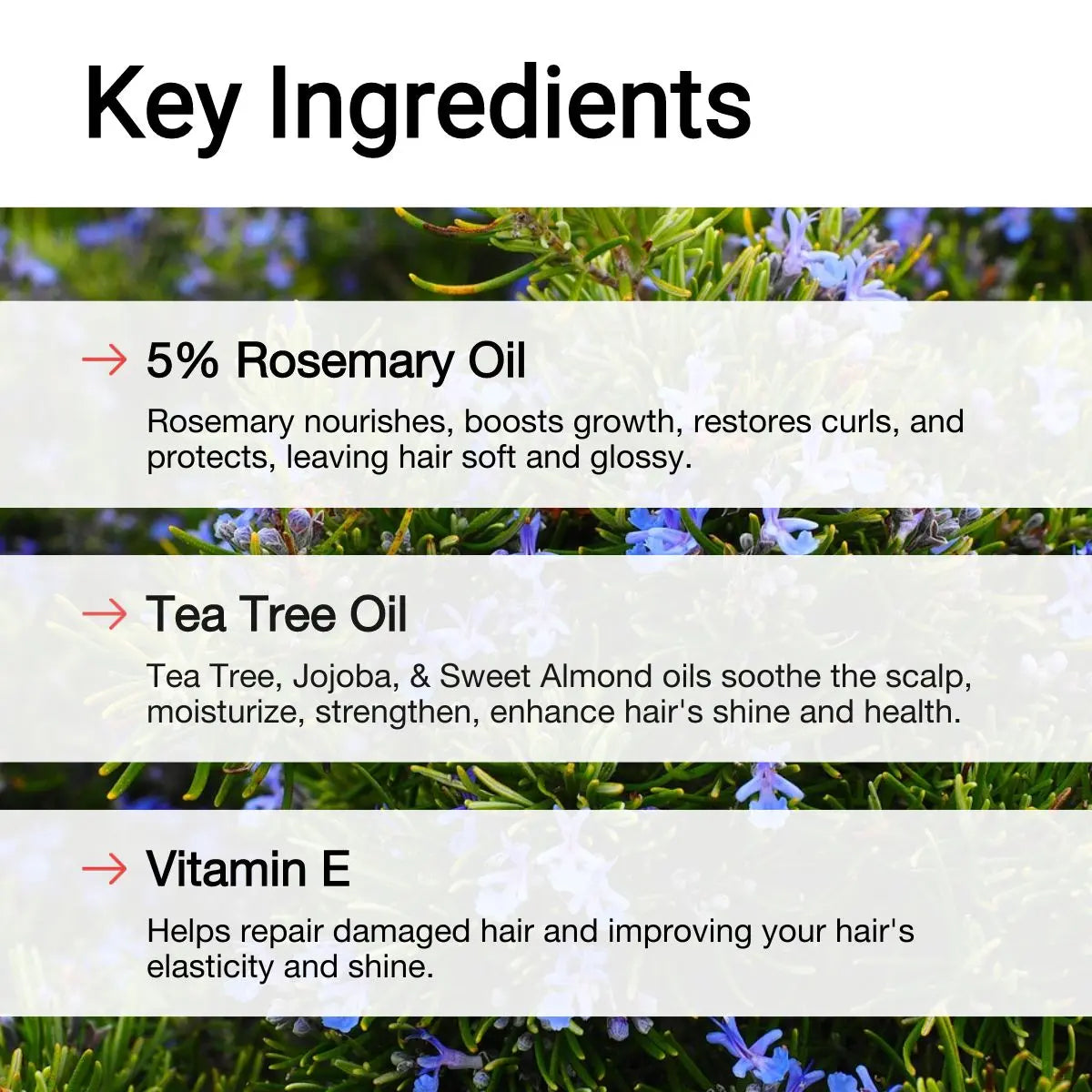AccuFix - Rosemary Oil Hair Fall Treatment
