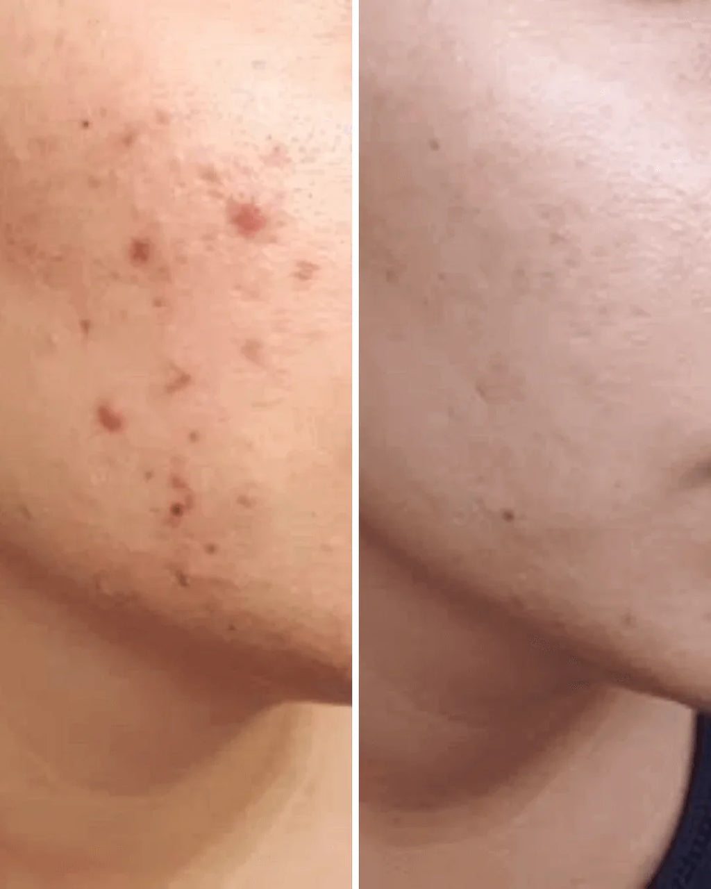 Nirvana Botanics - Vitamin C & E Serum